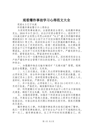 观看爆炸事故学习心得范文大全 