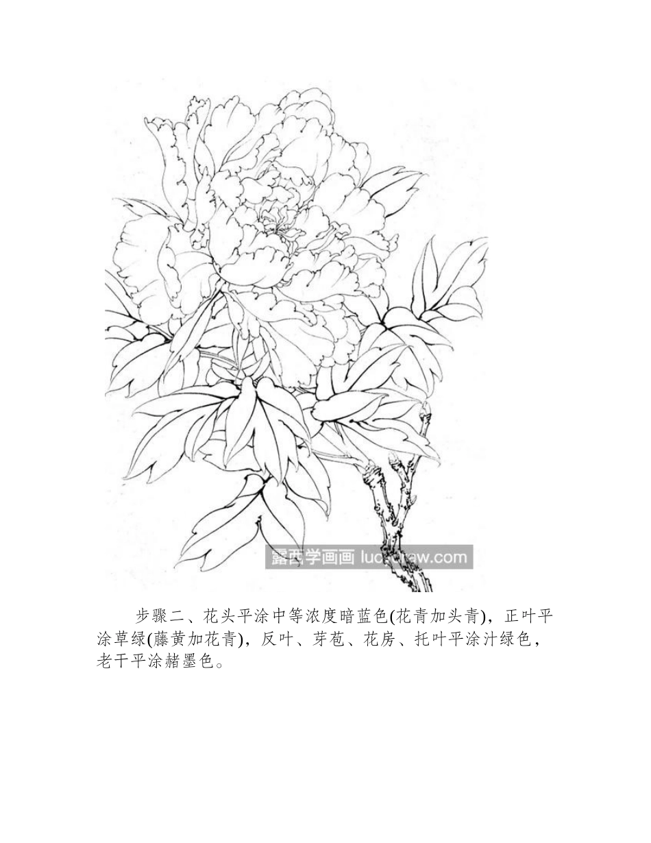 墨海青龙怎么画_牡丹的工笔绘画步骤有几步_工笔画教程_第2页