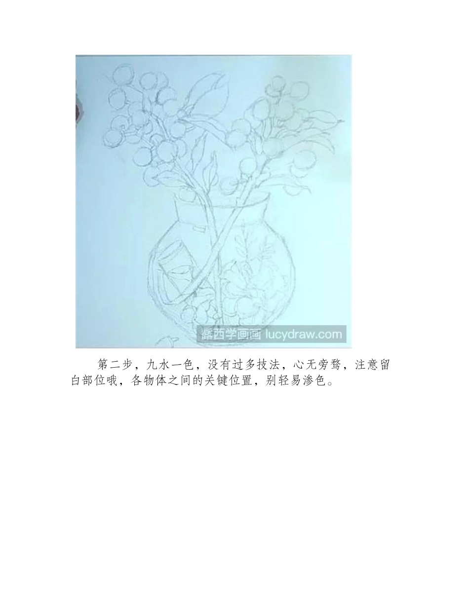 南天竹怎么画水彩画教程_第2页