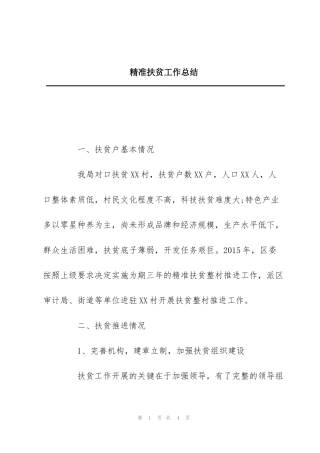 精准扶贫工作总结