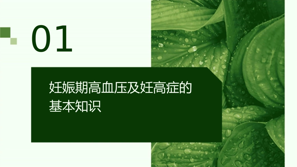 妊娠期高血压及妊高症急症处理护理课件_第3页