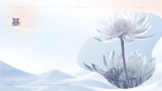 基础学绪论护理课件