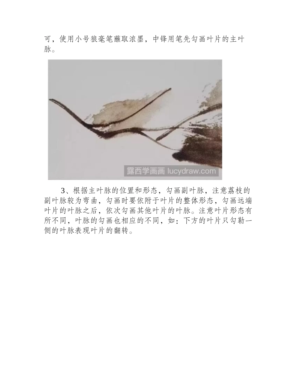 荔枝的枝叶怎么画_具体的荔枝国画步骤是什么_国画教程_第2页