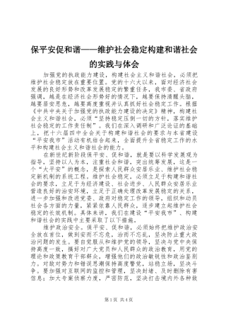保平安促和谐——维护社会稳定构建和谐社会的实践与体会 