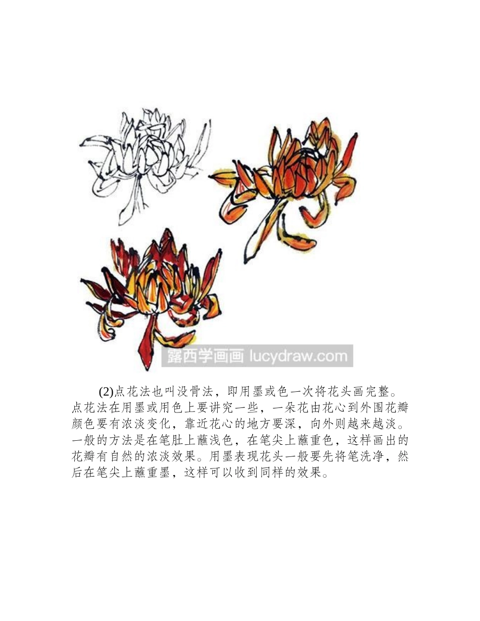 两种菊花花头绘制方法国画教程_第2页