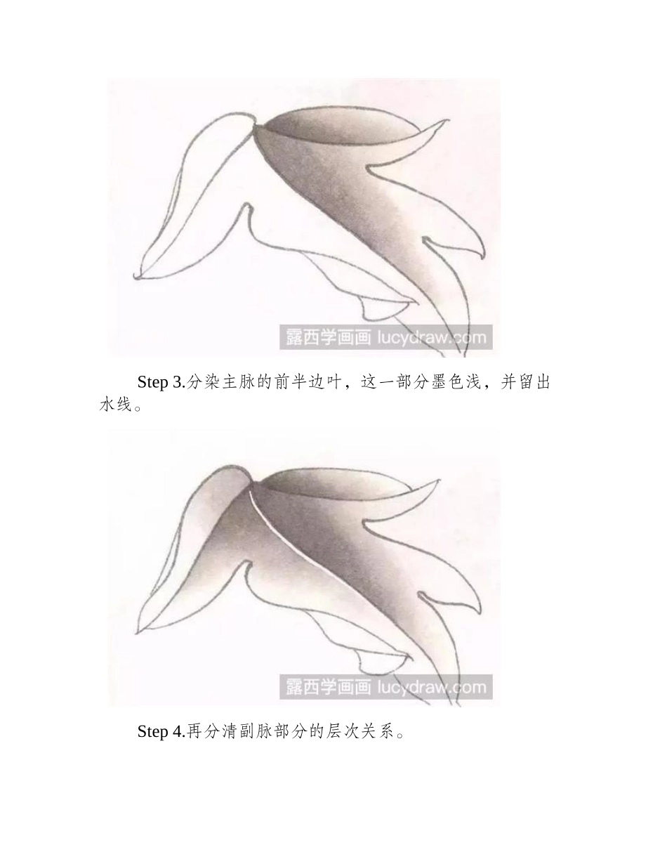牡丹叶工笔画教程工笔画教程_第2页