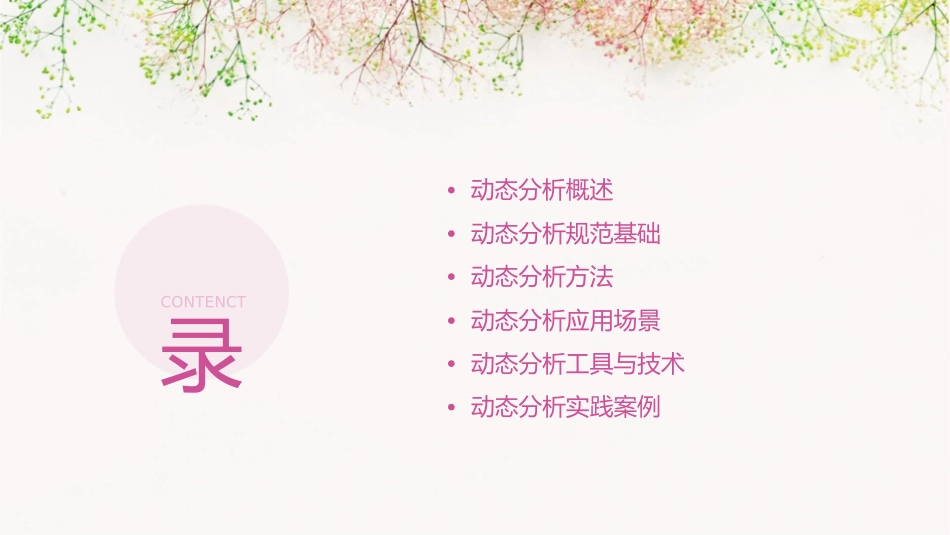 动态分析规范课件_第2页