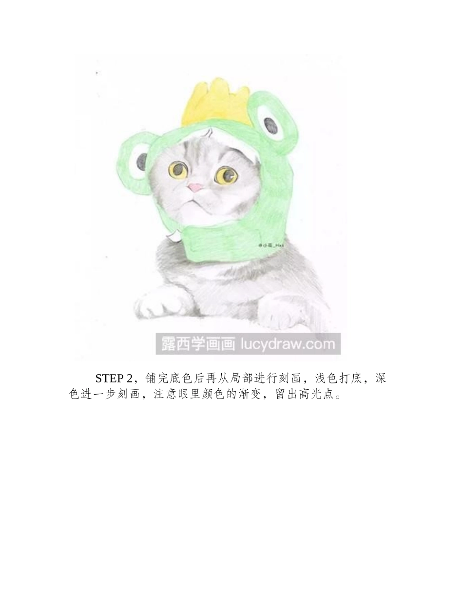 猫咪彩铅画教程一不小心萌到你彩铅画教程1_第2页