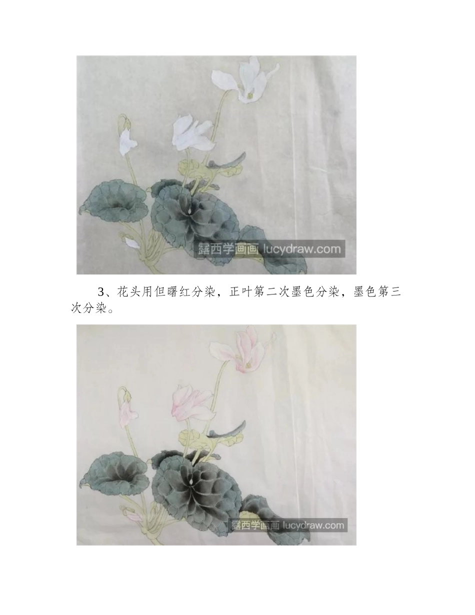 萝卜海棠怎么画_仙客来工笔画步骤是什么_工笔画教程_第2页