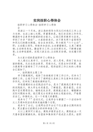 实岗挂职心得体会 