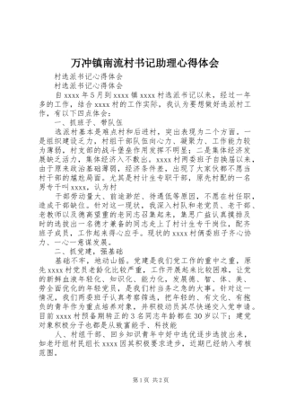 万冲镇南流村书记助理心得体会 
