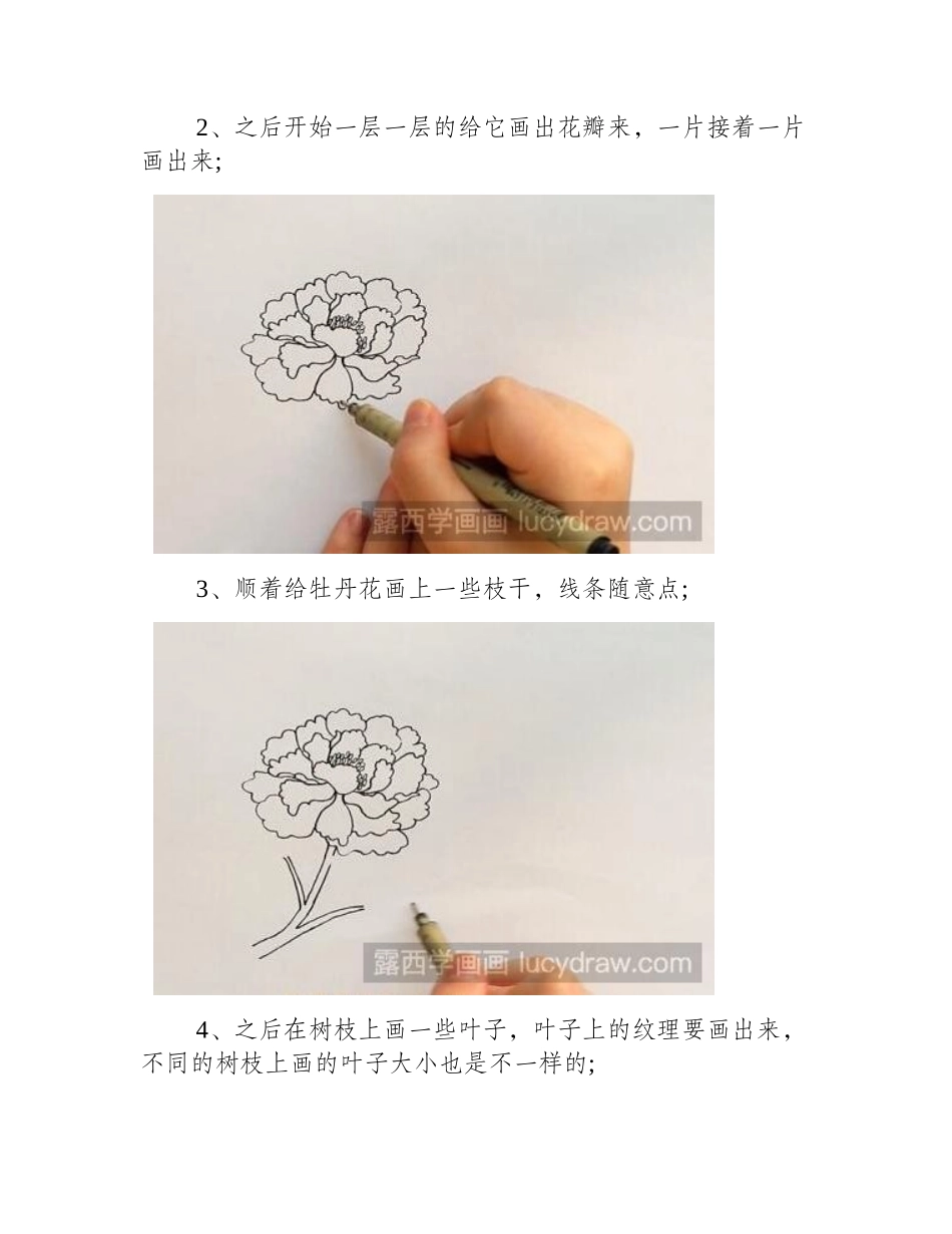 牡丹简笔画怎么画_详细绘画步骤介绍简笔画教程_第2页