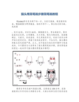 猫头鹰简笔画步骤简笔画教程