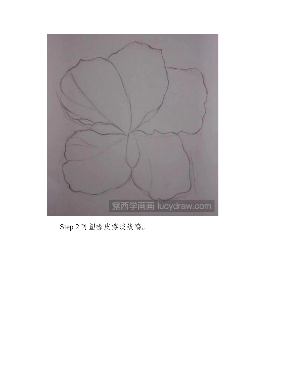 零基础彩铅画教程：教你画一朵小花彩铅画教程_第2页
