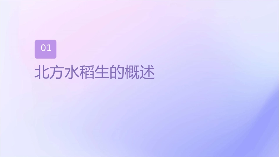 北方水稻生产 水稻生产新技术水稻精确定量栽培技术护理课件_第3页