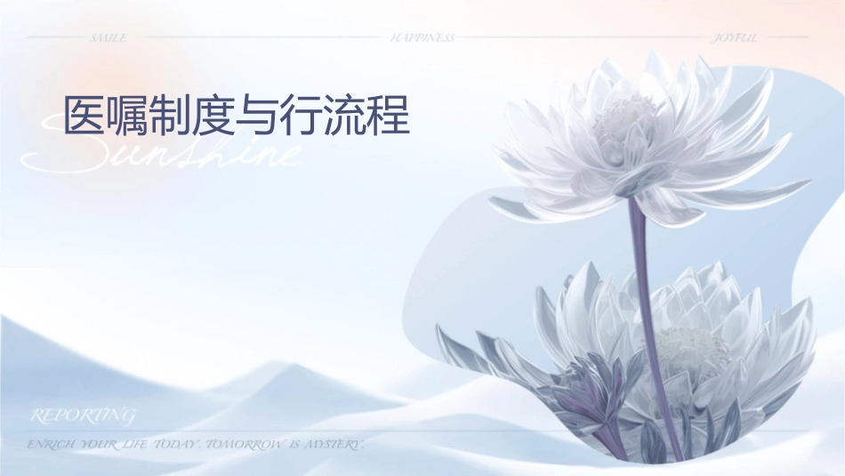 医嘱制度与执行流程_第1页