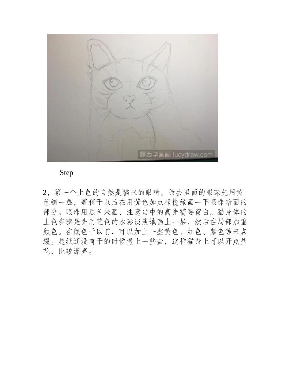 蓝猫水彩画教程水彩画教程_第2页