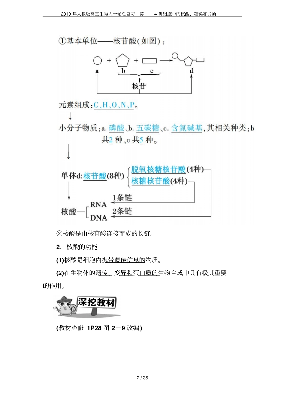 2019年人教版高三生物大一轮总复习：第4讲细胞中的核酸、糖类和脂质_第2页