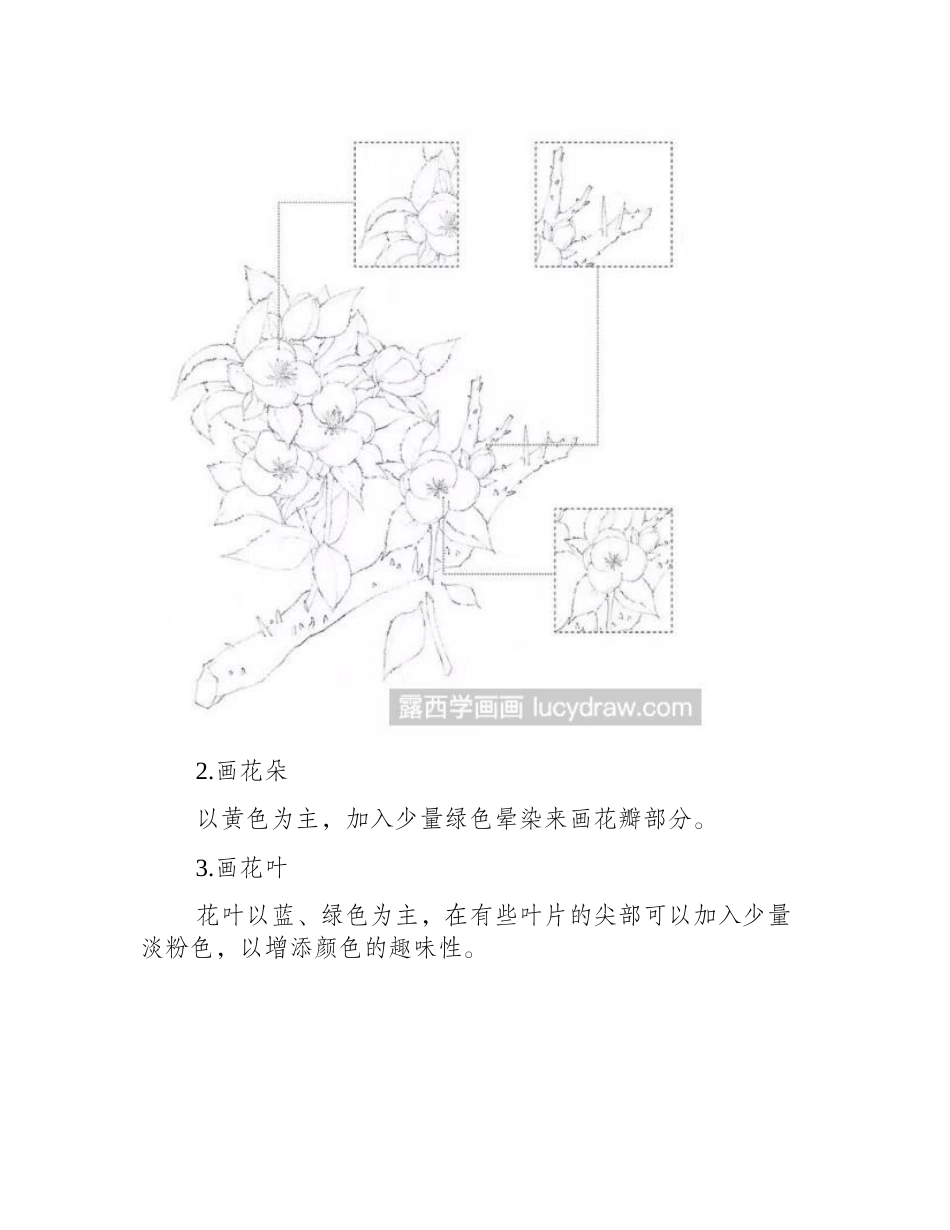 绿菟葵水彩教程水彩画教程_第2页