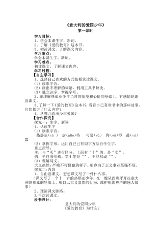 意大利的爱国少年 (2)
