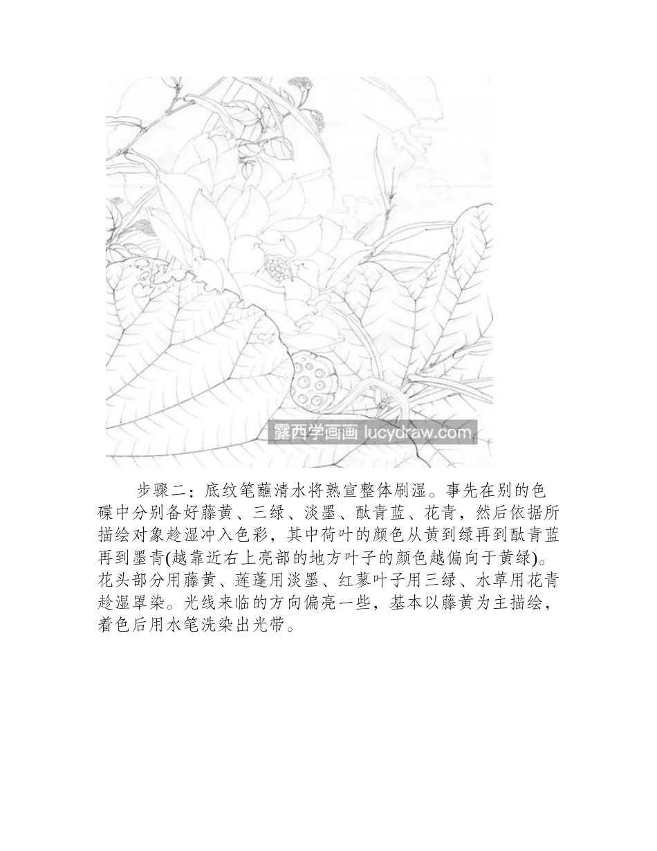 金莲怎么画_详细的工笔教程是什么_工笔画教程_第2页