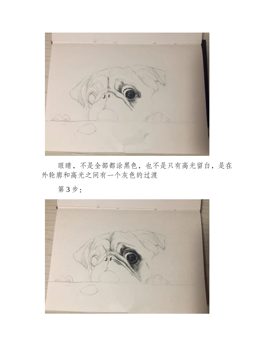 可爱的彩铅狗狗绘画教程彩铅画教程2_第2页