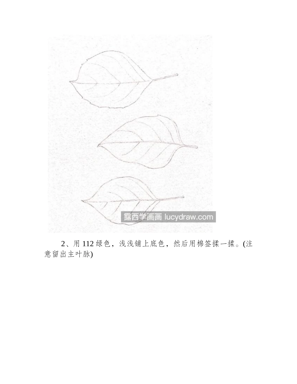 绿叶怎么画_树叶纹理质感该如何刻画_彩铅画教程_第2页