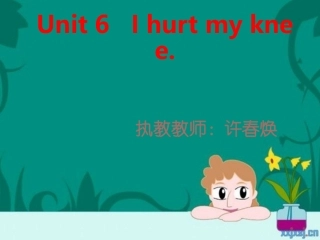 许春焕Unit6Ihurtmyknee