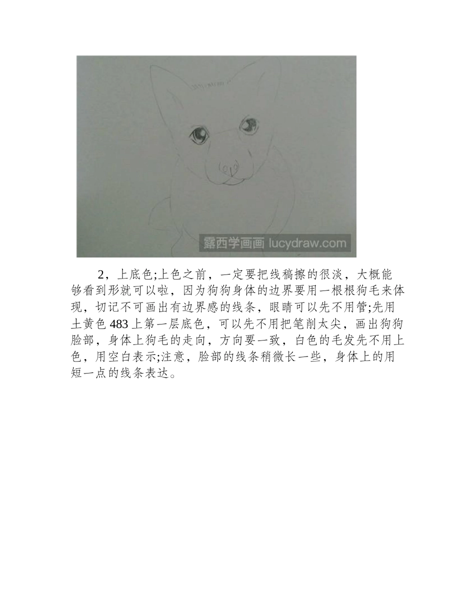 柯基犬彩铅画教程彩铅画教程_第2页