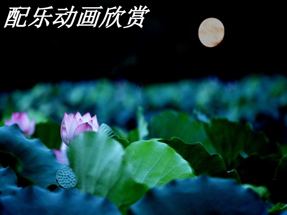 弋阳一中吴新__荷塘月色课件_第3页