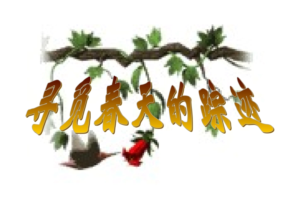 《综合性学习：寻觅春天的踪迹》课件_第1页