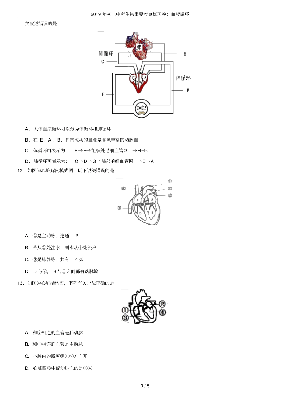 2019年初三中考生物重要考点练习卷：血液循环_第3页
