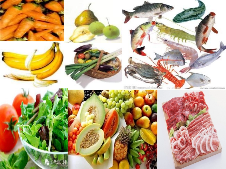 《食物的营养》说课_第2页