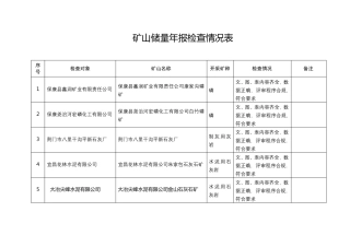 矿山储量年报检查情况表【模板】 