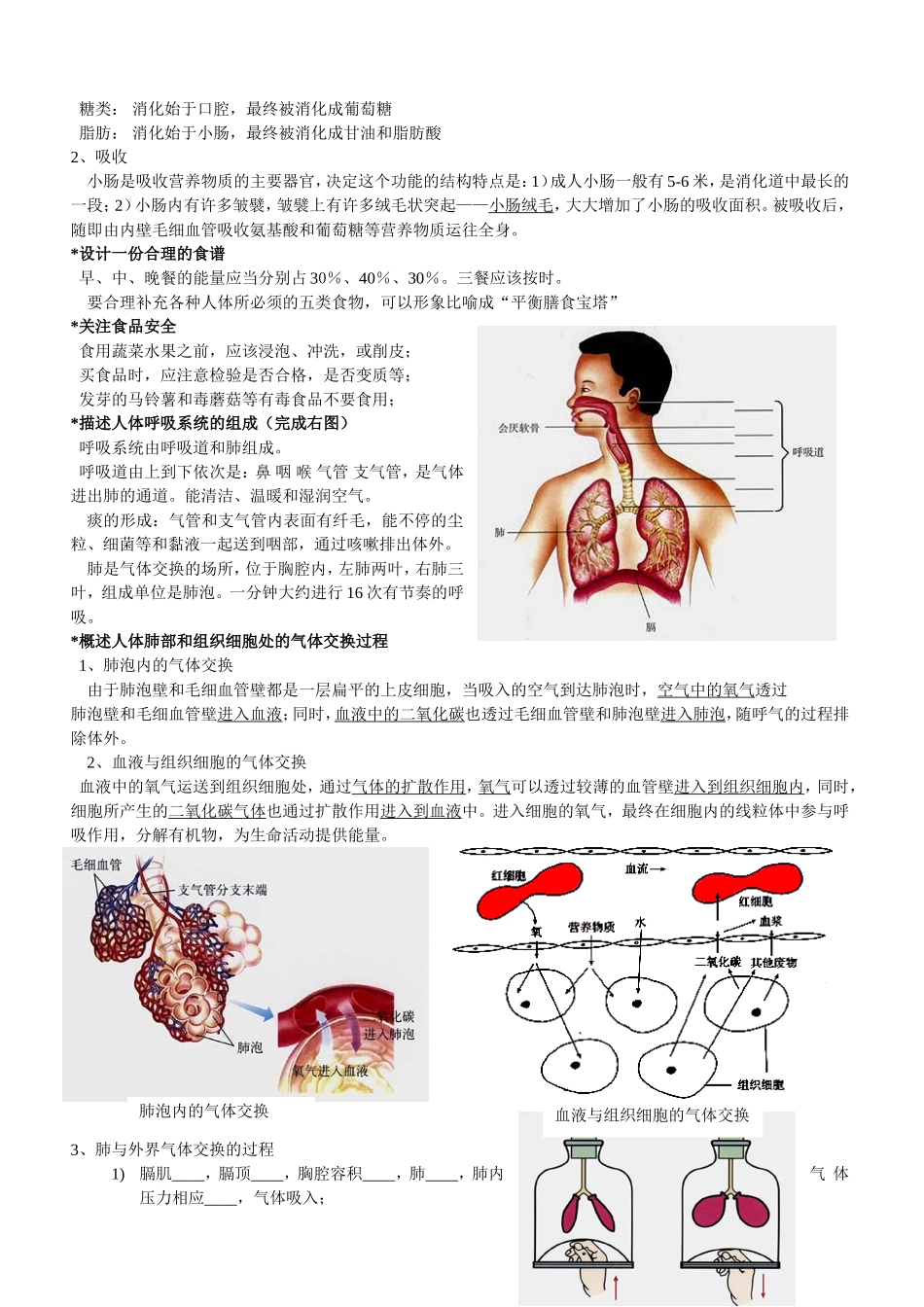 生物七年级下册期末复习提纲_重点_第3页