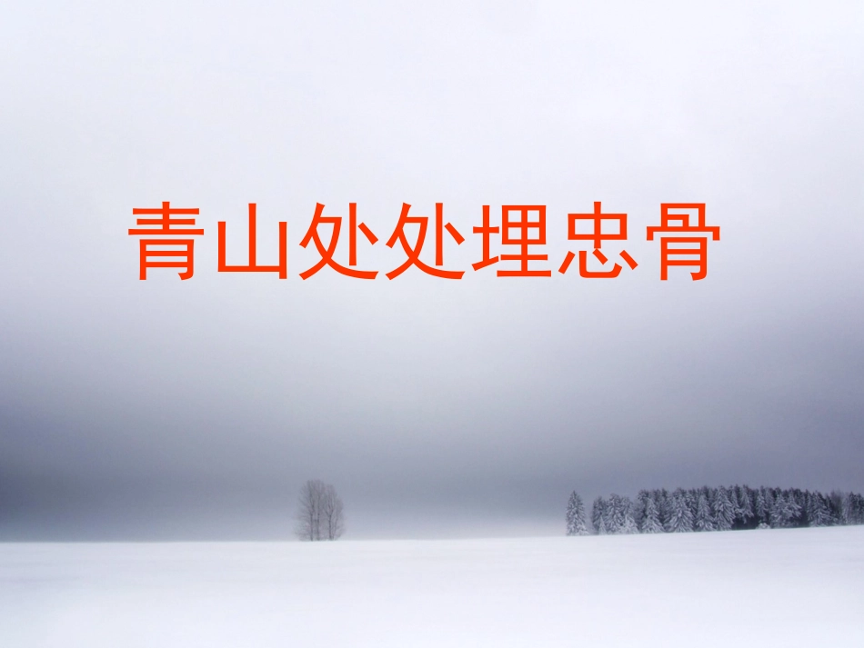 青山处处埋忠骨PPT (3)_第1页