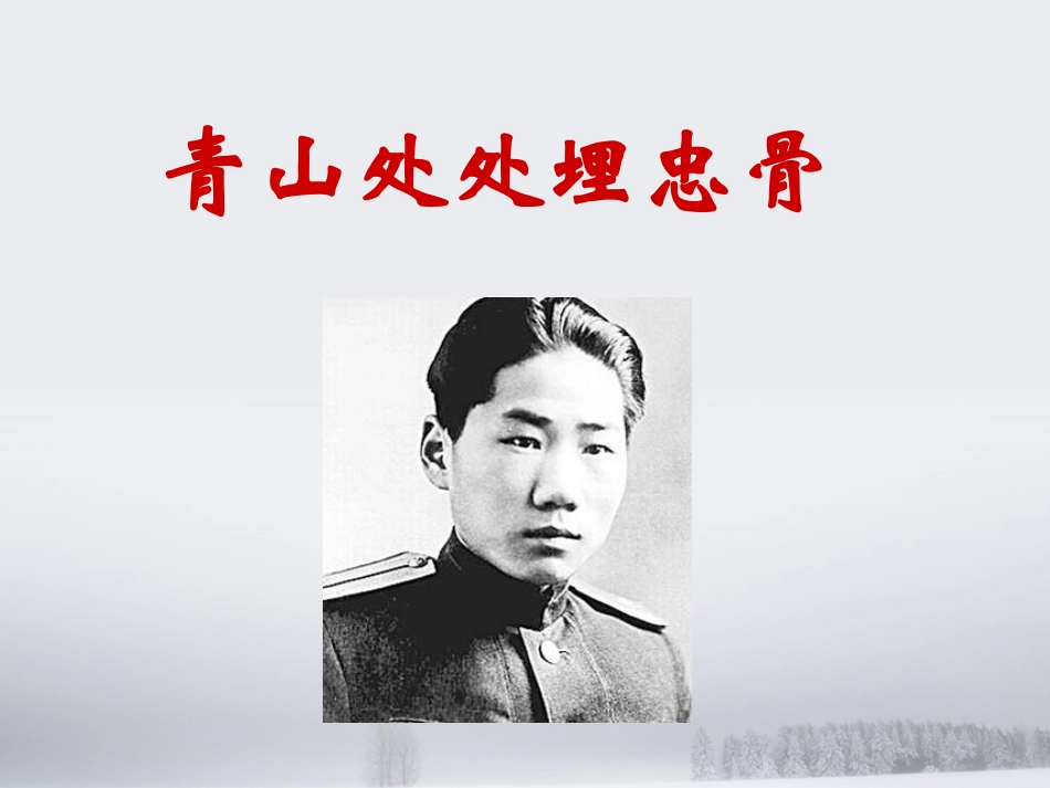 青山处处埋忠骨PPT (3)_第3页