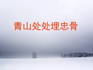 青山处处埋忠骨PPT (3)