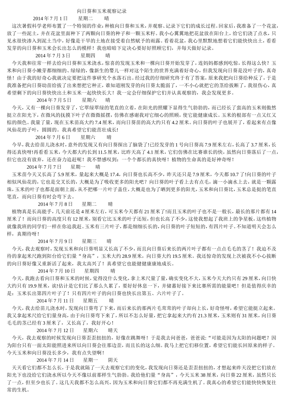 向日葵和玉米观察记录_第1页