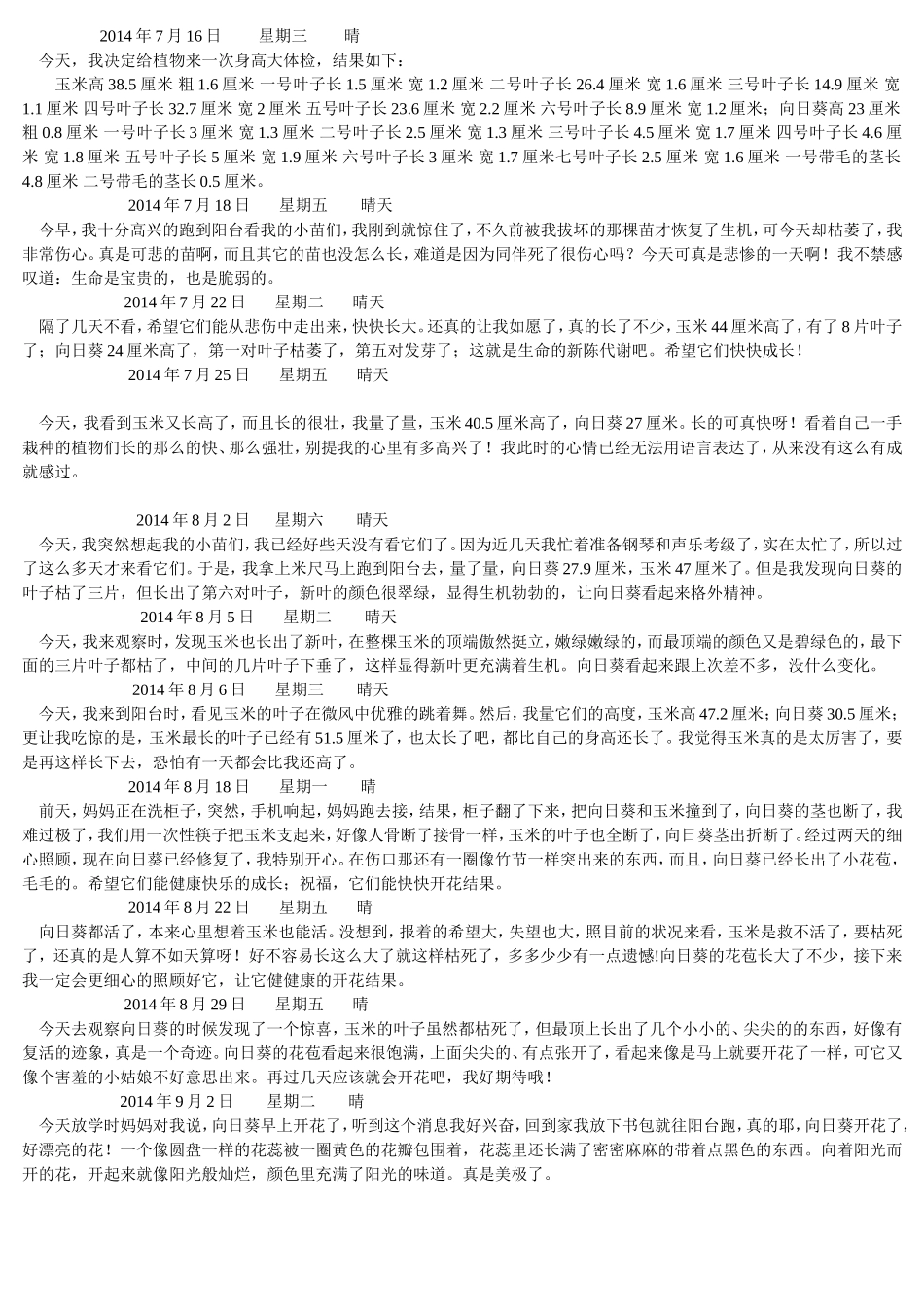 向日葵和玉米观察记录_第2页