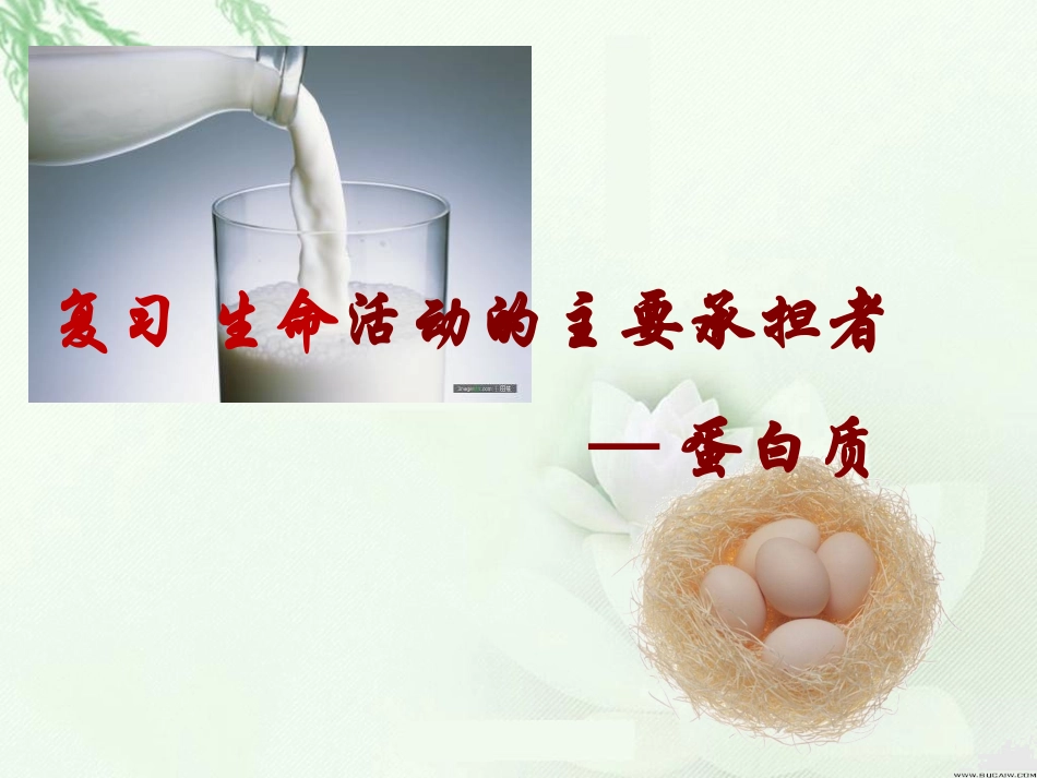 生命活动的主要承担者——蛋白质_第1页