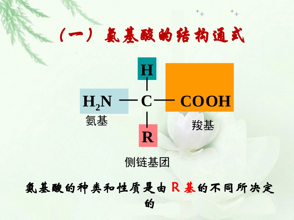 生命活动的主要承担者——蛋白质_第3页