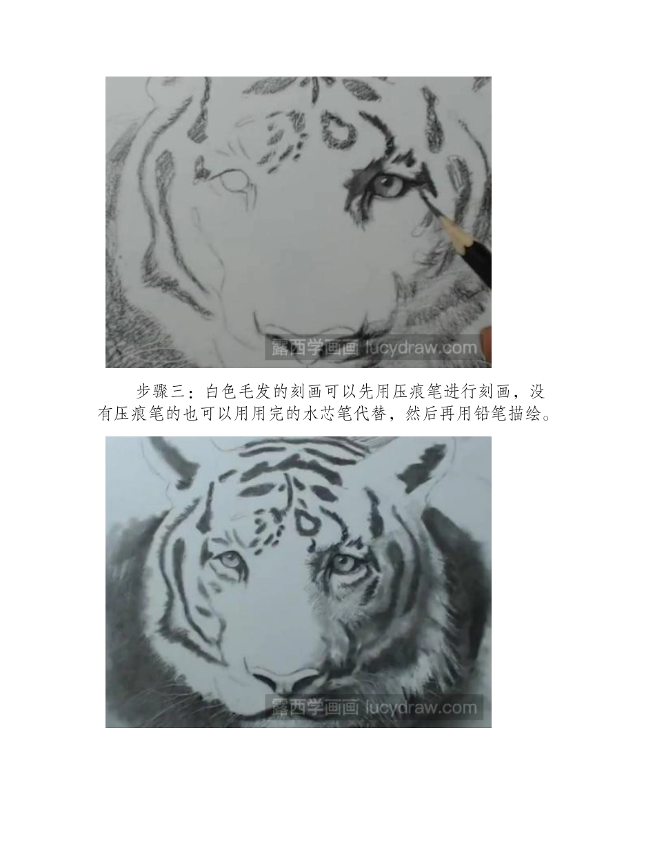 老虎素描画法步骤图素描教程1_第2页