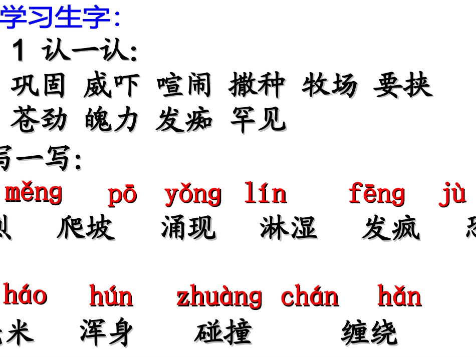 北师大版五年级语文上册《巩乃斯的马》课件1_第3页