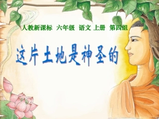 六年级语文上册第四组15这片土地是神圣的课件