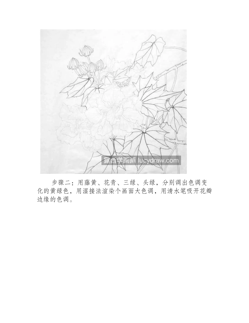 拒霜花怎么画_芙蓉花的工笔画步骤有几步_工笔画教程_第2页