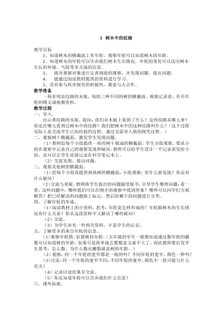 树木中的纹路