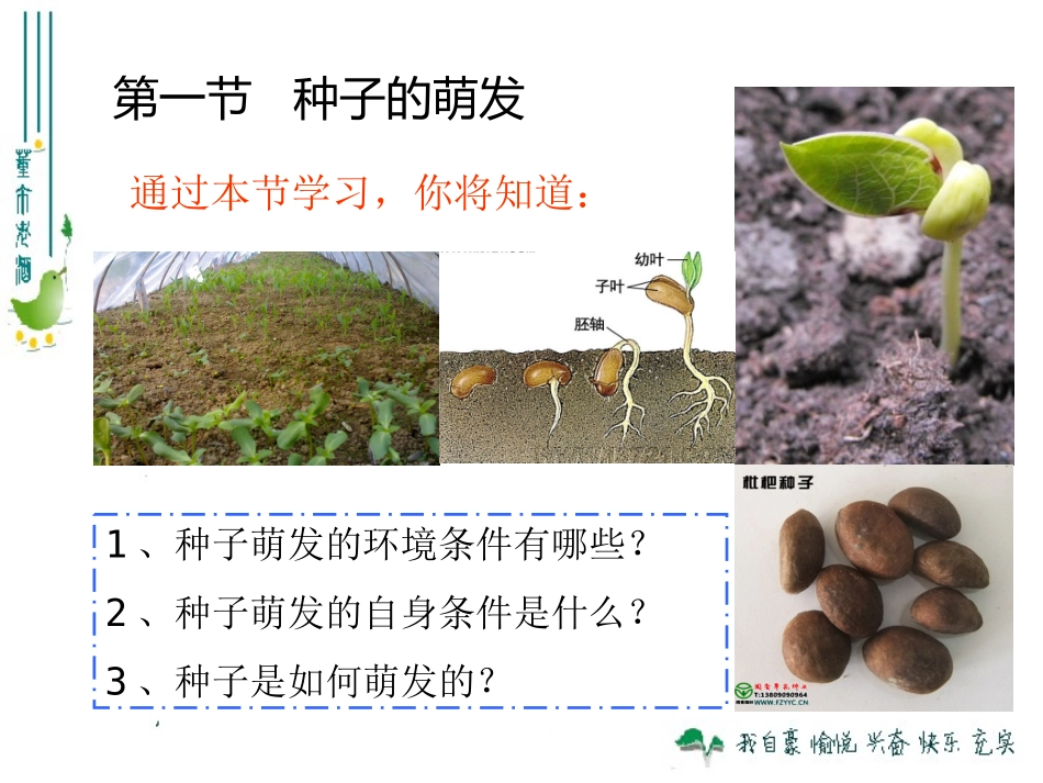 最新人教版321种子的萌发_第2页