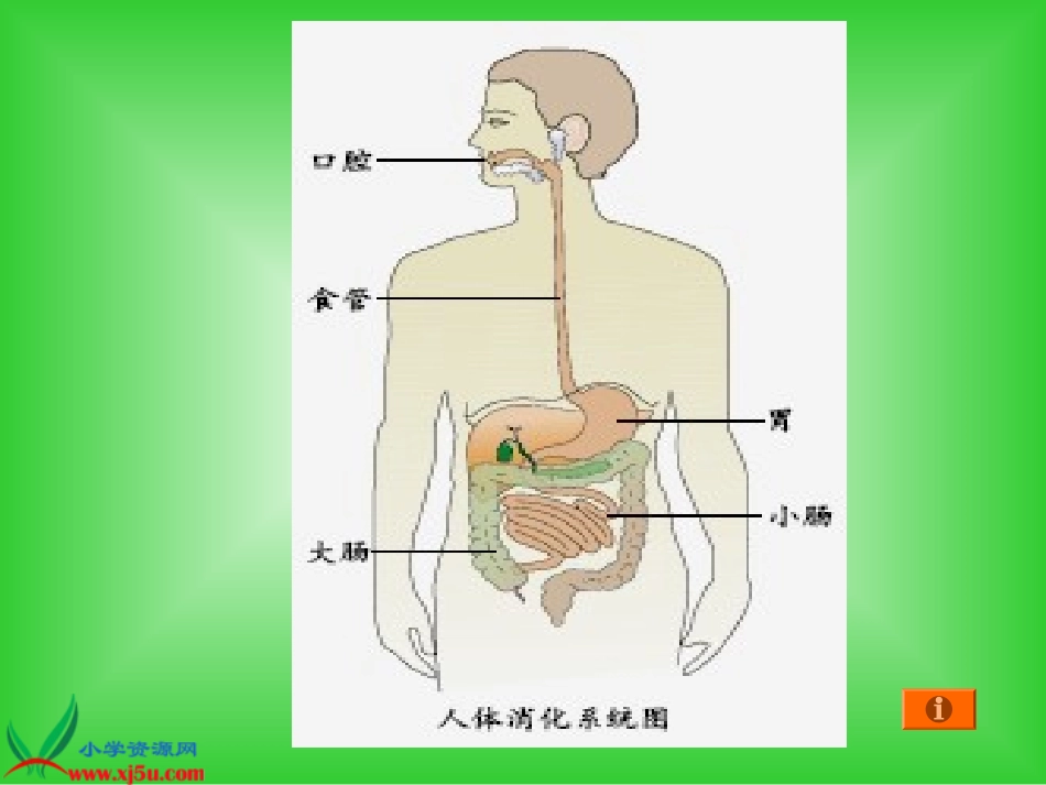 一次奇妙的旅行_第3页