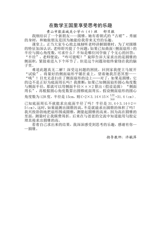 在数学王国里享受思考的乐趣（舒贝敏）20133